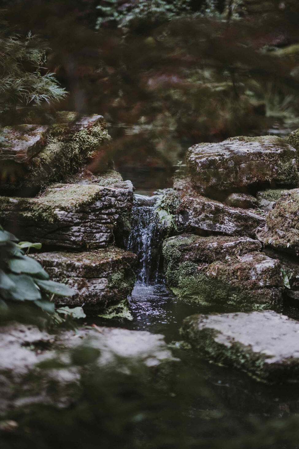 A stream of water flowing through rocks